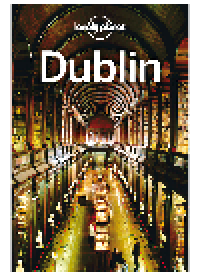 cover of the book Dublin Travel Guide