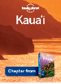 cover of the book Kauai &#8211; Guidebook Chapter. Kauai Chapter from Hawaii Travel Guide Book