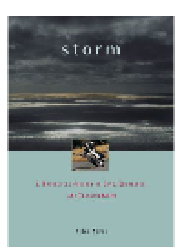 cover of the book Storm. A Motorcycle Journey of Love, Endurance, and Transformation