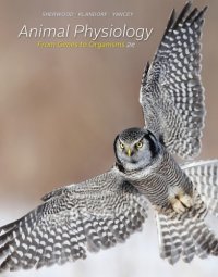 cover of the book Animal Physiology: From Genes to Organisms