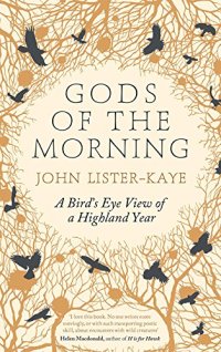 cover of the book Gods of the Morning: A Bird's Eye View of a Highland Year