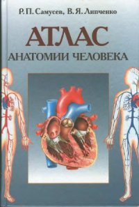 cover of the book Атлас анатомии человека