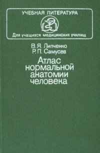 cover of the book Атлас нормальной анатомии человека