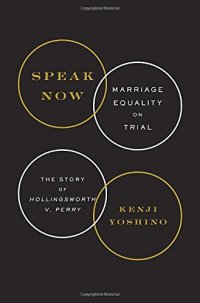 cover of the book Speak Now: Marriage Equality on Trial