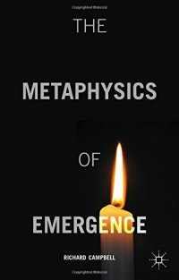 cover of the book The Metaphysics of Emergence