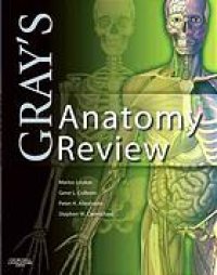 cover of the book Gray's anatomy review