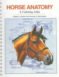 cover of the book Horse Anatomy : A Coloring Atlas