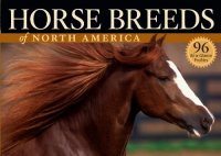 cover of the book Horse Breeds of North America