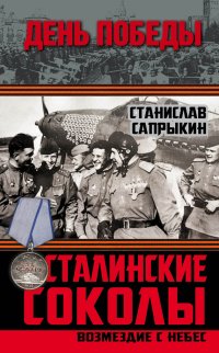 cover of the book Сталинские соколы. Возмездие с небес