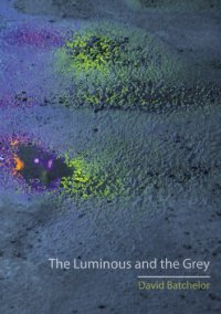 cover of the book The Luminous and the Grey