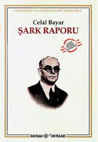 cover of the book Şark raporu