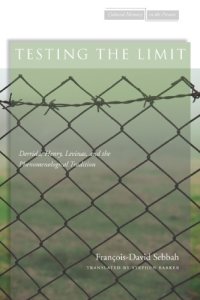 cover of the book Testing the Limit: Derrida, Henry, Levinas, and the Phenomenological Tradition