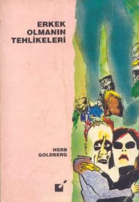 cover of the book Erkek olmanın tehlikeleri