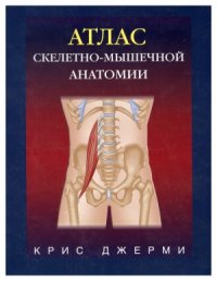 cover of the book Атлас скелетно-мышечной анатомии