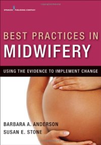 cover of the book Best Practices in Midwifery: Using the Evidence to Implement Change