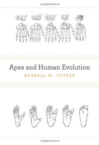 cover of the book Apes and Human Evolution