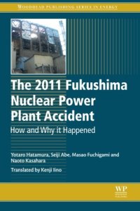 cover of the book The 2011 Fukushima Nuclear Power Plant Accident: How and Why It Happened