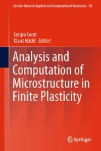 cover of the book Analysis and Computation of Microstructure in Finite Plasticity