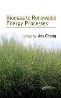 cover of the book Biomass to renewable energy processes