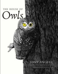 cover of the book The House of Owls