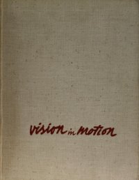 cover of the book Vision in Motion