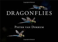 cover of the book Dragonflies: Magnificent Creatures of Water, Air, and Land