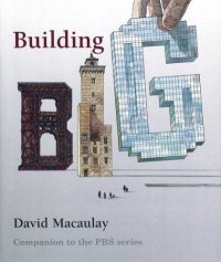 cover of the book Building Big