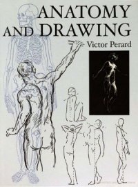 cover of the book Anatomy and Drawing