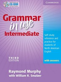 cover of the book Grammar in Use Intermediate CD-ROM: Self-study Reference and Practice for Students of North American English