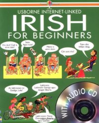 cover of the book Irish for Beginners