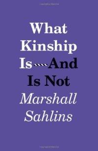 cover of the book What Kinship Is—And Is Not