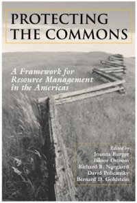 cover of the book Protecting the Commons: A Framework for Resource Management in the Americas