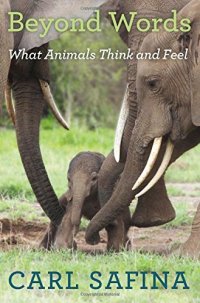 cover of the book Beyond Words: What Animals Think and Feel