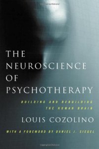 cover of the book The Neuroscience of Psychotherapy: Healing the Social Brain