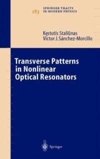 cover of the book Transverse Patterns in Nonlinear Optical Resonators