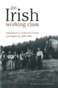 cover of the book An Irish Working Class: Explorations in Political Economy and Hegemony, 1800-1950