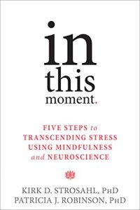 cover of the book In This Moment: Five Steps to Transcending Stress Using Mindfulness and Neuroscience