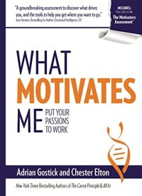 cover of the book What Motivates Me: Put Your Passions to Work