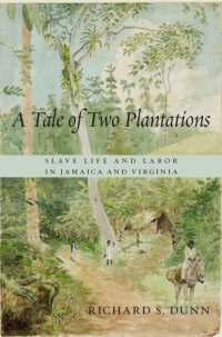 cover of the book A Tale of Two Plantations: Slave Life and Labor in Jamaica and Virginia