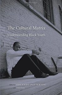 cover of the book The Cultural Matrix: Understanding Black Youth