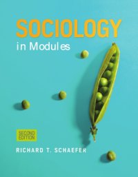 cover of the book Sociology in Modules