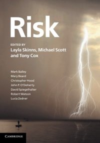 cover of the book Risk