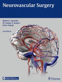 cover of the book Neurovascular Surgery