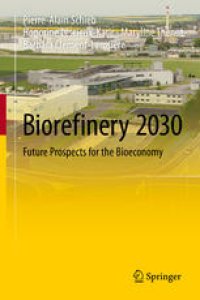 cover of the book Biorefinery 2030: Future Prospects for the Bioeconomy