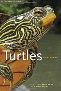 cover of the book Turtles of Alabama