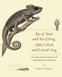 cover of the book Eye of Newt and Toe of Frog, Adder's Fork and Lizard's Leg: The Lore and Mythology of Amphibians and Reptiles