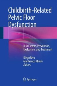 cover of the book Childbirth-Related Pelvic Floor Dysfunction: Risk Factors, Prevention, Evaluation, and Treatment