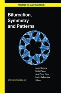 cover of the book Bifurcation, symmetry and patterns