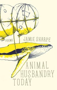 cover of the book Animal husbandry today