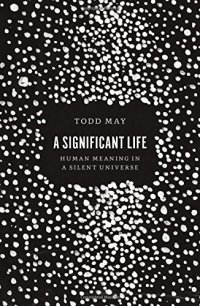 cover of the book A significant life : human meaning in a silent universe